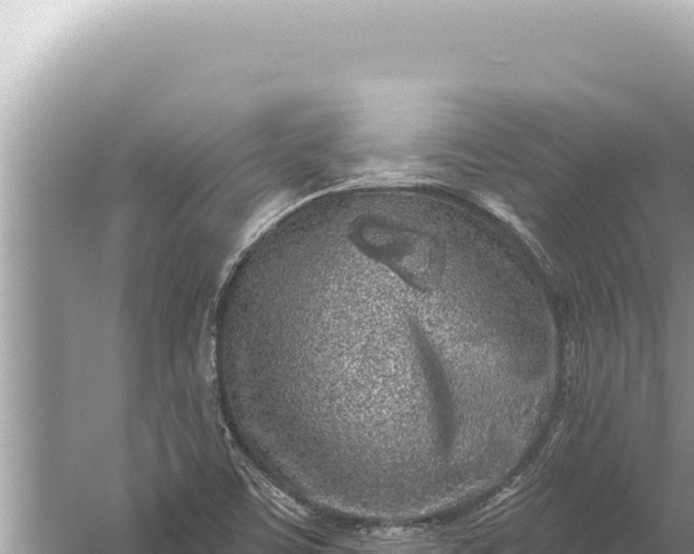 X0000059041459200510211921