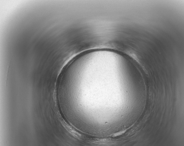 X0000059041460200510211921