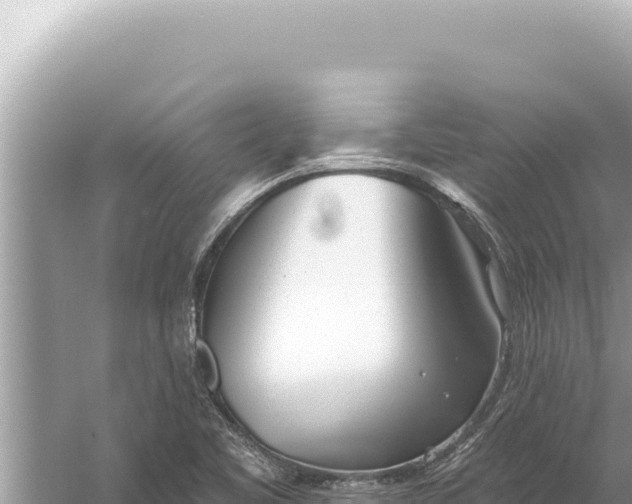 X0000059041461200510211921