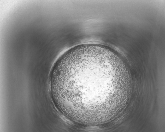 X0000059041462200510211921