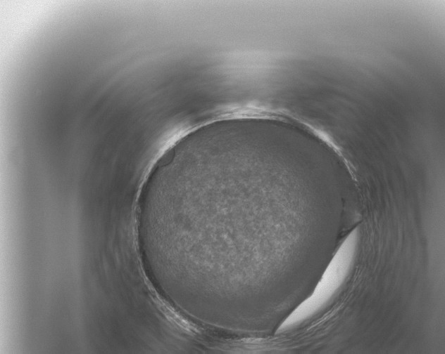 X0000059041463200510211921