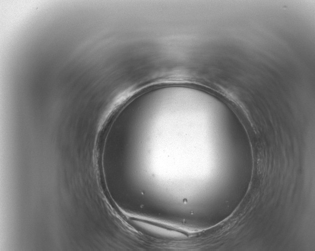 X0000059041464200510211921