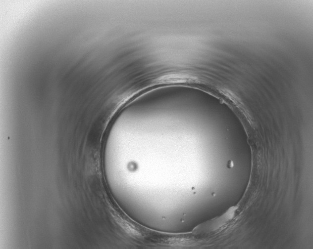 X0000059041465200510211921