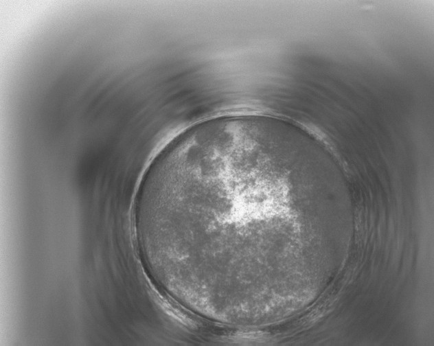 X0000059041466200510211921