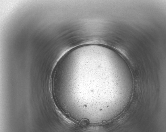 X0000059041468200510211921