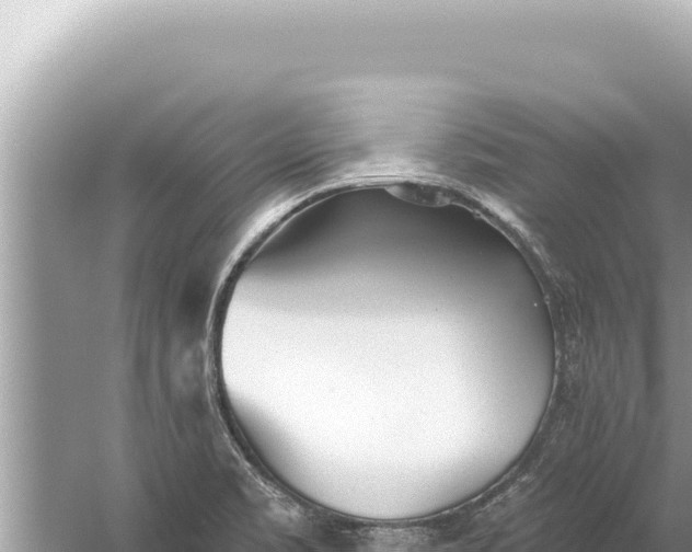 X0000059041469200510211921