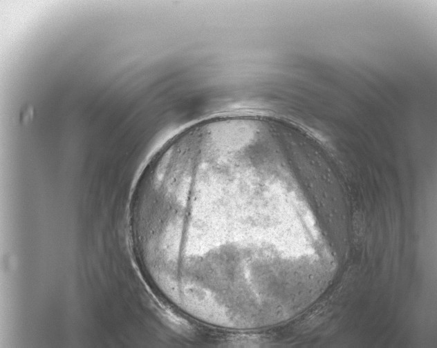 X0000059041470200510211921