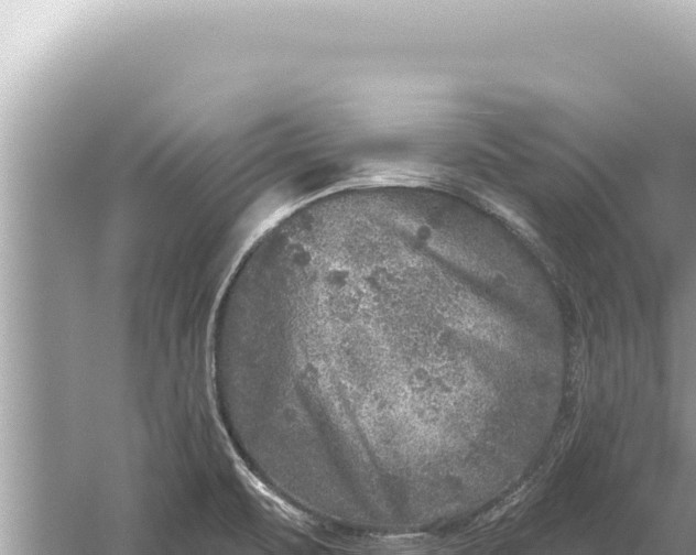 X0000059041471200510211921