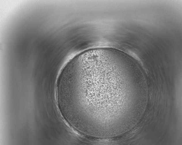 X0000059041472200510211921