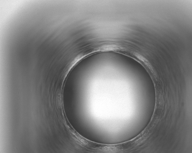 X0000059041473200510211921