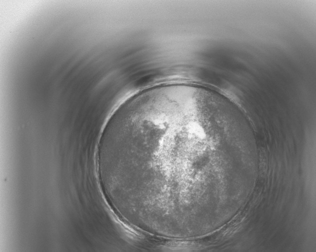 X0000059041474200510211921