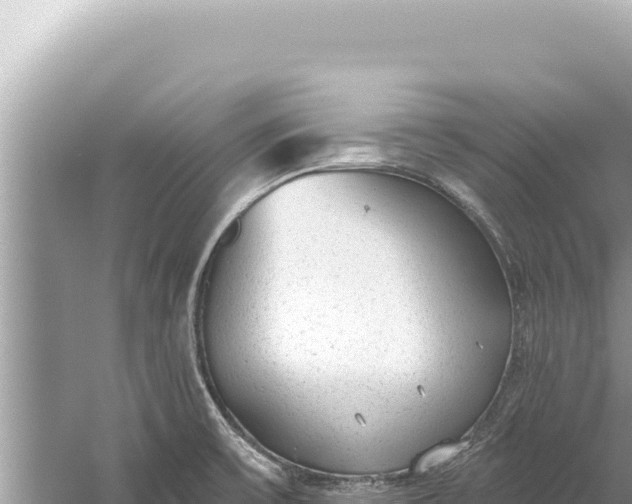 X0000059041475200510211921