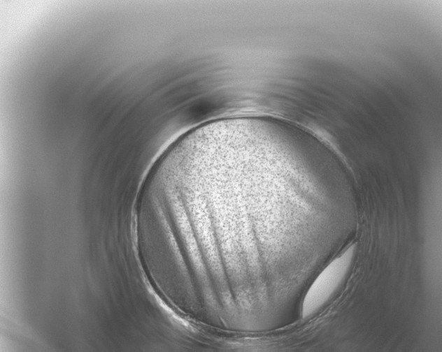 X0000059041476200510211921