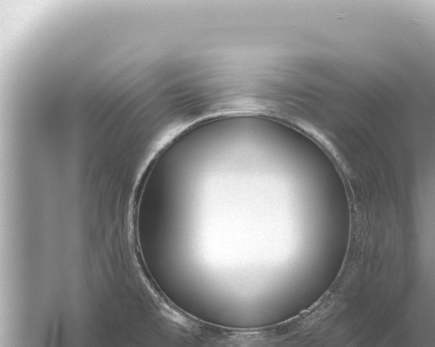 X0000059041477200510211921