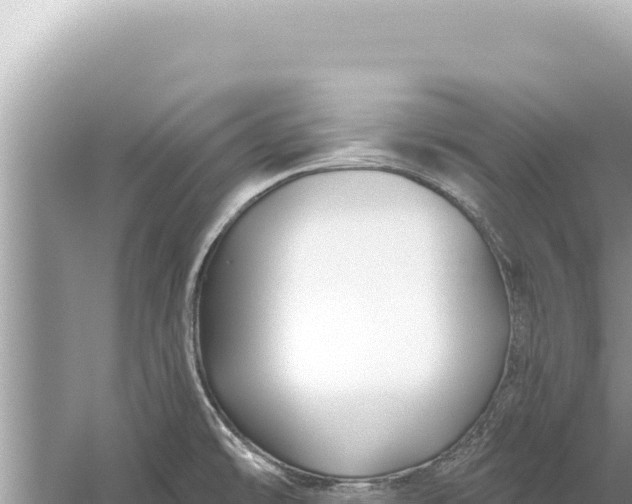 X0000059041478200510211921