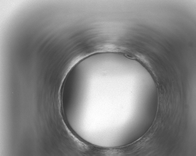 X0000059041479200510211921