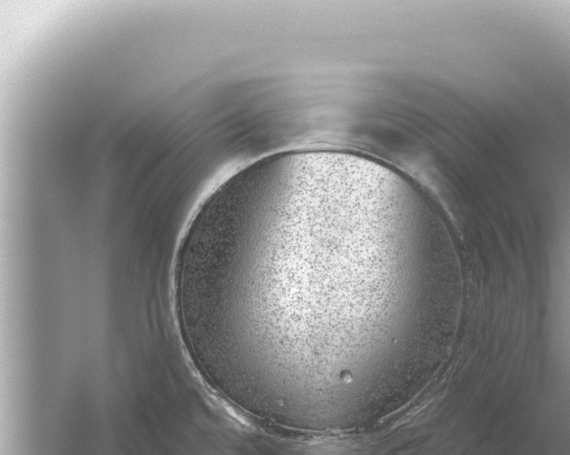 X0000059041480200510211921