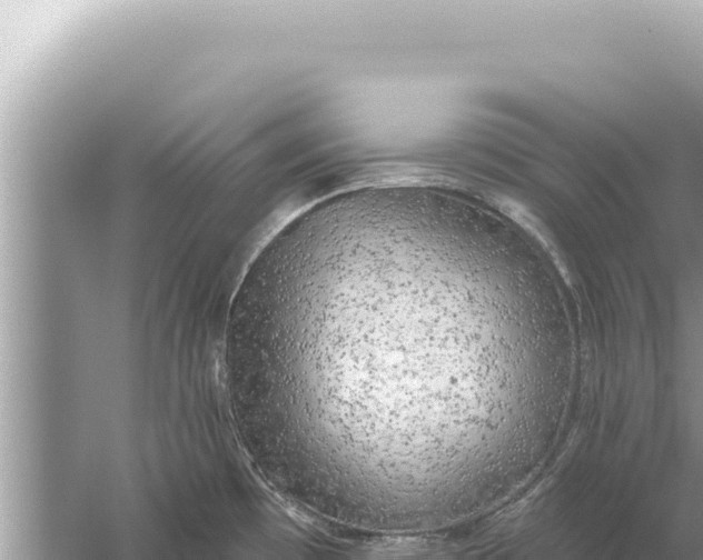 X0000059041481200510211921