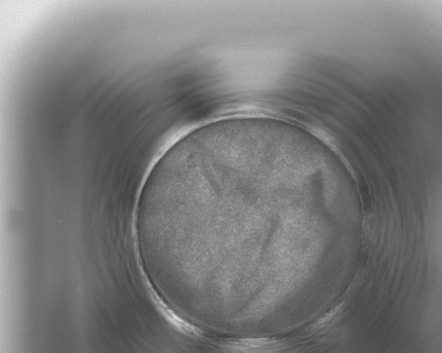 X0000059041482200510211921