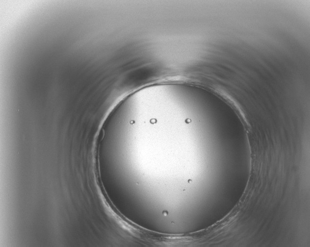 X0000059041483200510211921