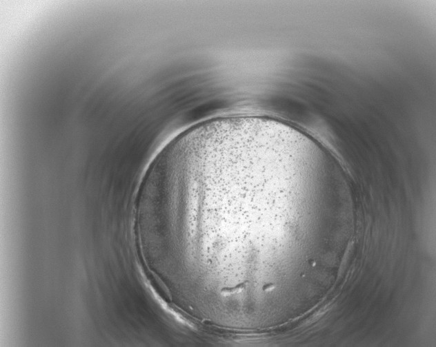 X0000059041484200510211921