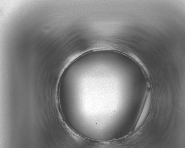 X0000059041485200510211921