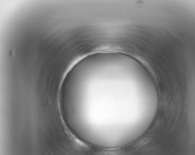 X0000059041486200510211921