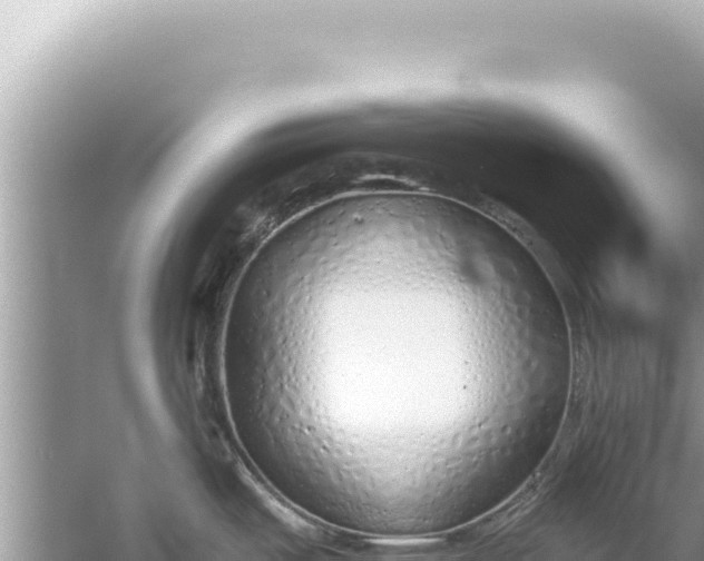 X0000059041487200510211921