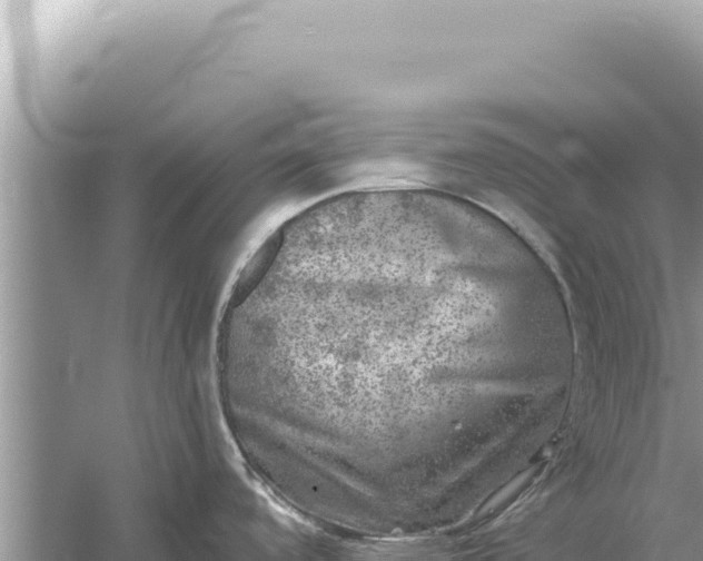 X0000059041488200510211921