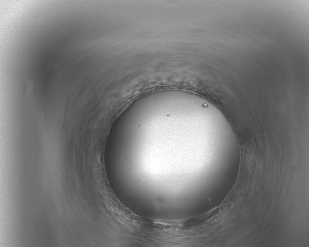 X0000059041489200510211920