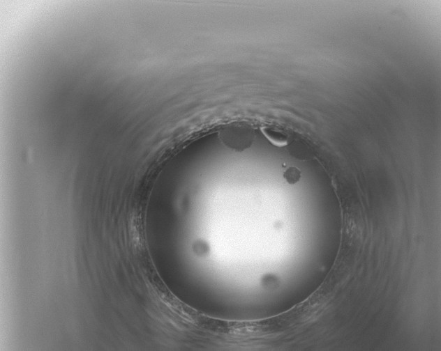 X0000059041490200510211920