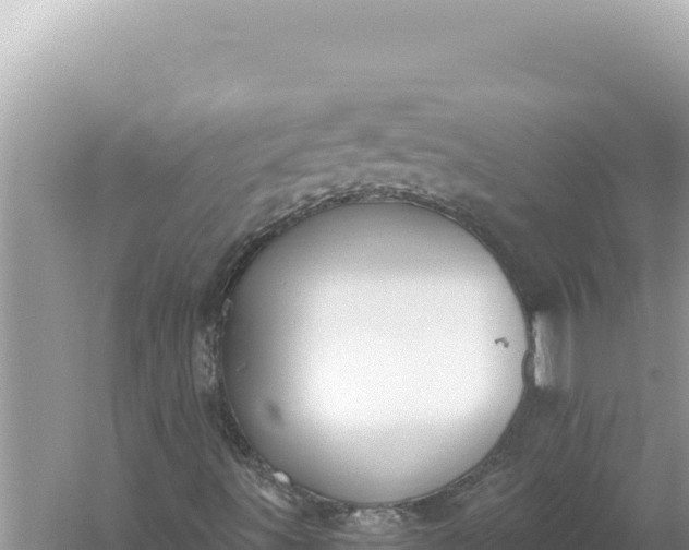 X0000059041491200510211920