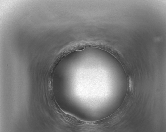 X0000059041492200510211920