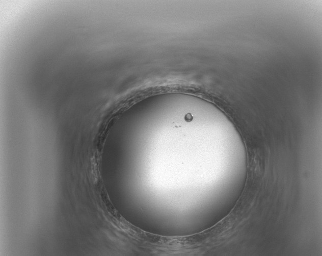 X0000059041493200510211920