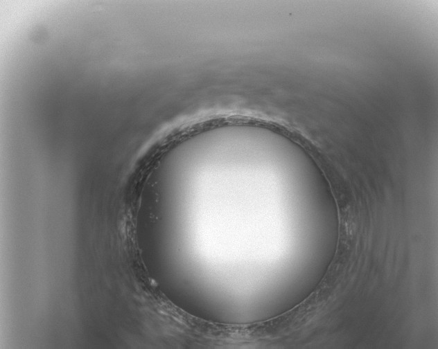 X0000059041495200510211920