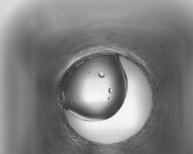 X0000059041496200510211920