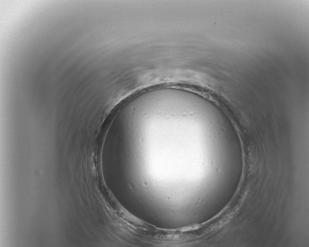 X0000059041497200510211920