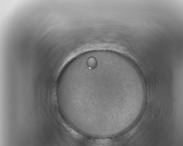 X0000059041498200510211920