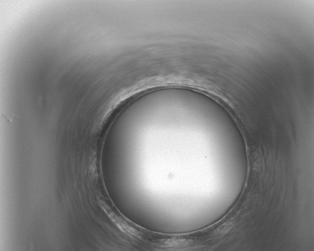 X0000059041499200510211920