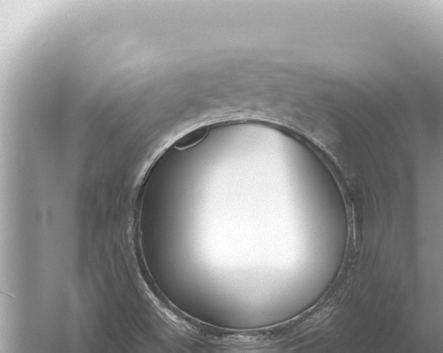 X0000059041500200510211920