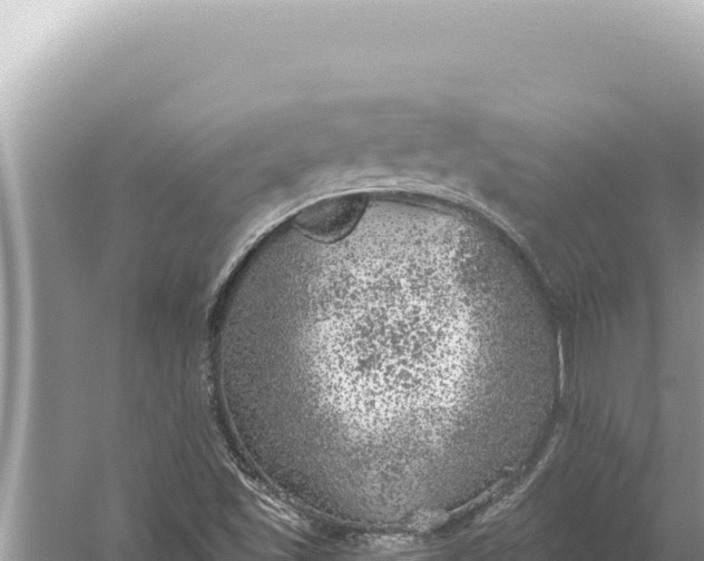 X0000059041501200510211920