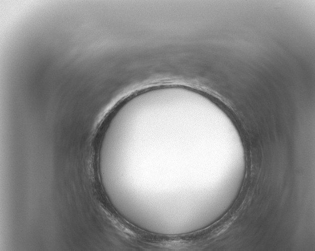 X0000059041502200510211920