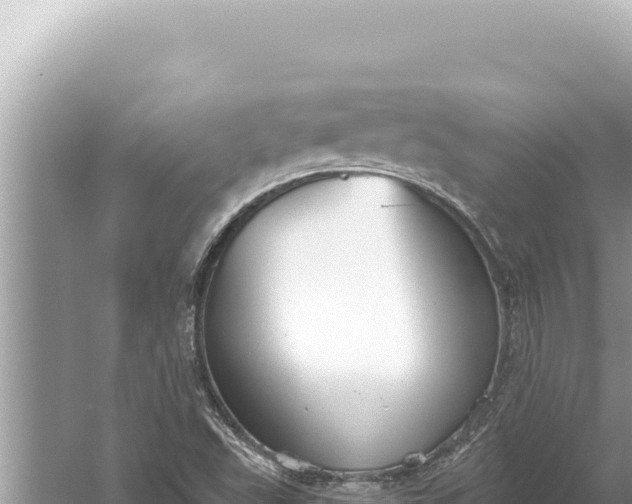 X0000059041503200510211920