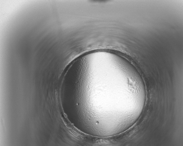 X0000059041505200510211920