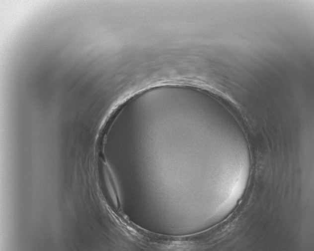 X0000059041506200510211920