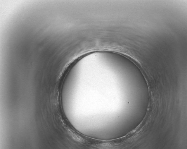 X0000059041507200510211920