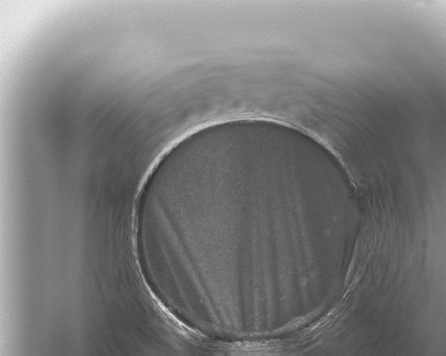 X0000059041508200510211920