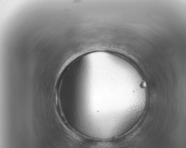 X0000059041509200510211920