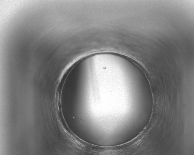 X0000059041510200510211920