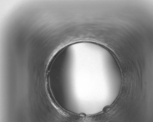 X0000059041511200510211920